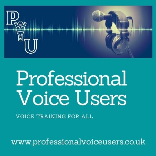 Professional Voice Users General Logo